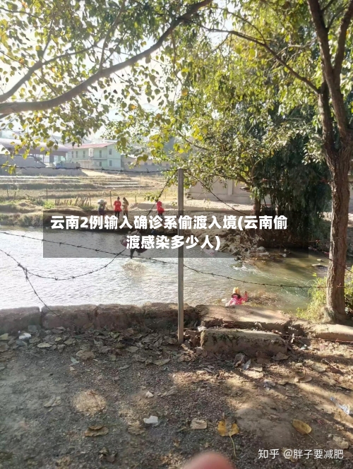 云南2例输入确诊系偷渡入境(云南偷渡感染多少人)-第1张图片