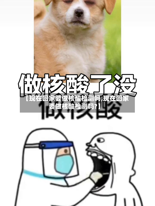 【现在回家要做核酸检测吗,现在回家要做核酸检测吗?】-第1张图片